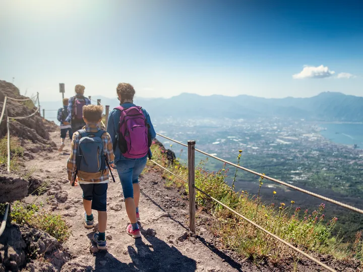Vesuvius & Wine Tasting
